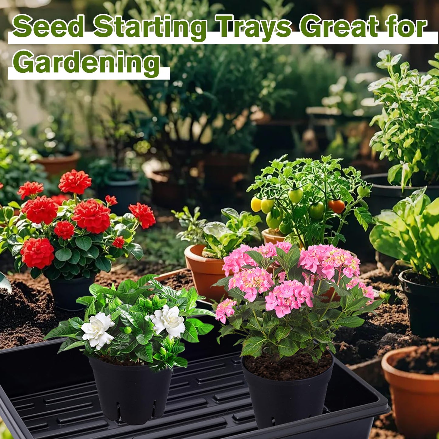 Dualshine Seed Starter Tray Kit - 60-Pack 3.4 Inch Round Nursery Pots with Drainage Holes, 5 Seedling Trays, 100 Plant Labels & 2 Transplanting Tools for Vegetables, Flowers, Herbs Seed Starting