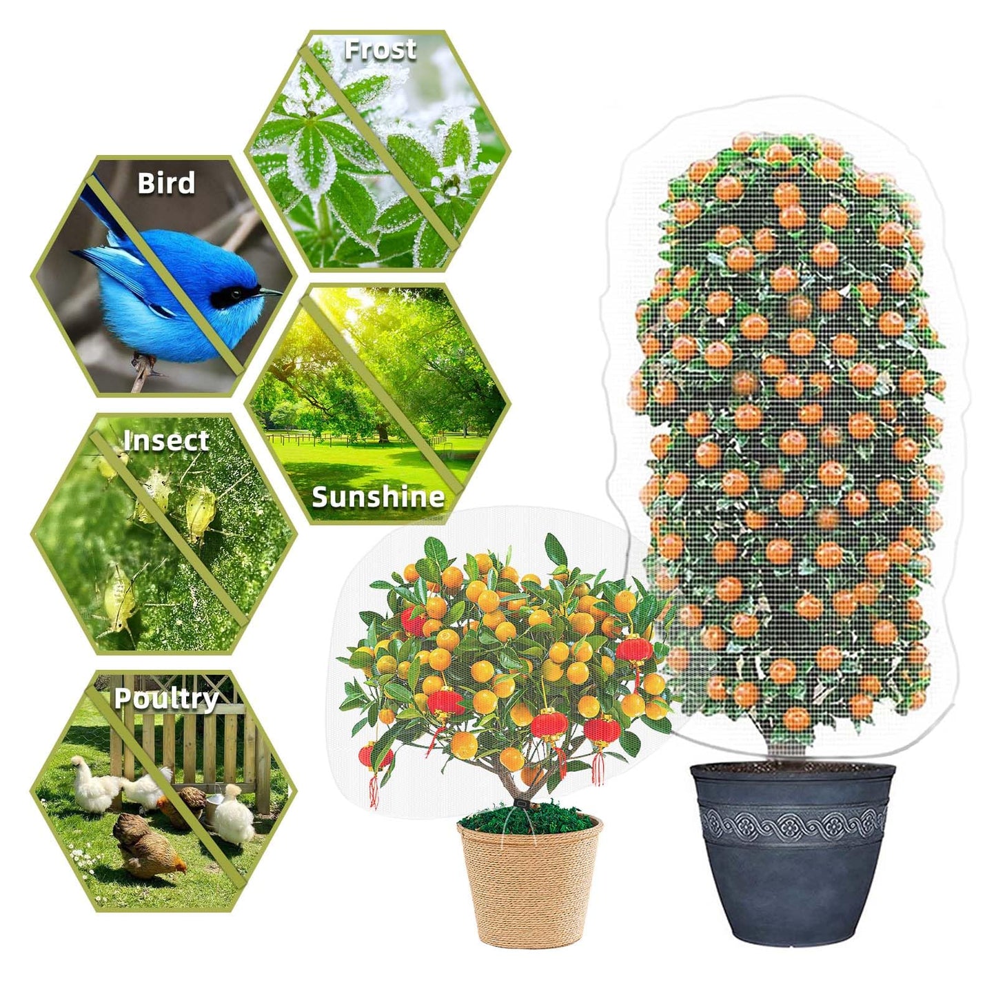 Bird Netting for Garden Protection, CANAGROW 4 Pack Garden Plant Mesh Covers Bags with Drawstring, Insect Bird Barrier Bug Netting for Fruit Blueberry Bushes Vegetable Flower (3.3x4.9FT)