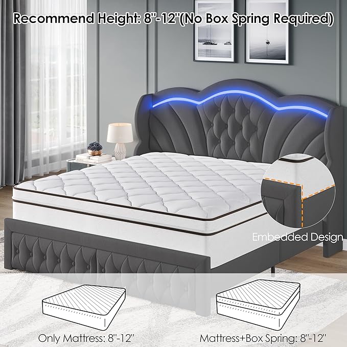 Keyluv Queen Bed Frame with LED Lights and 2 Storage Drawers, Velvet