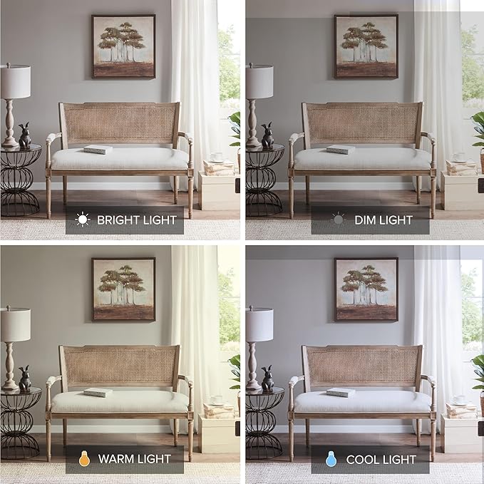 Madison Park Willshire Natural Rattan Settee, Upholstered Seat