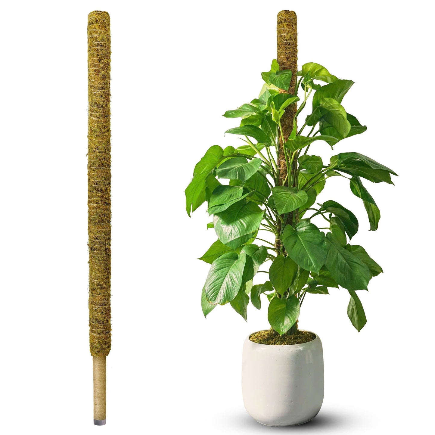 DUSPRO 59 Inches Non-Bendable Pole for Big Climbing Plants, Large Moss Pole for Monstera, Indoor Plant Stakes, Support (1pc., 59'')