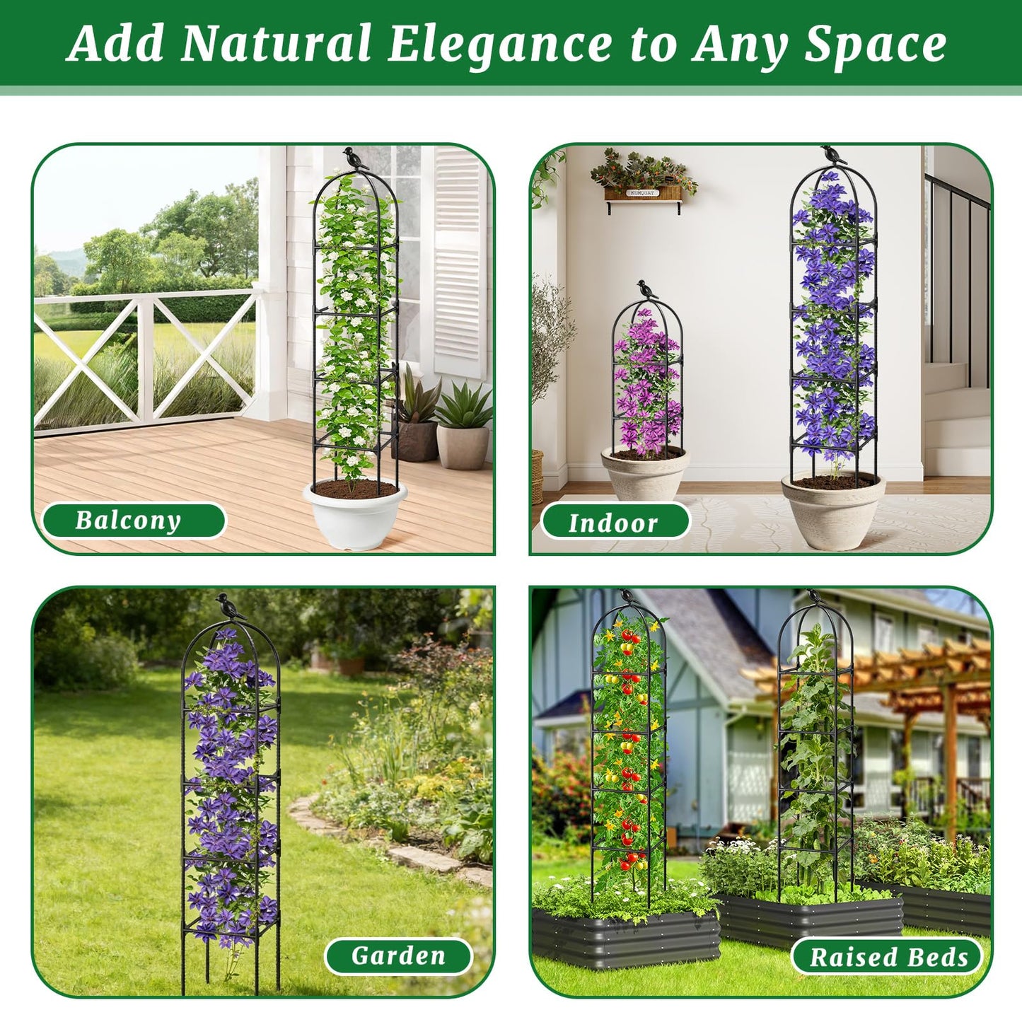 Fabulas Garden Obelisk Trellis for Climbing Plants Outdoor, 6 Ft Rustproof Plastic Coated Metal Vine Plant Trellis Support for Pots, Wisteria, Morning Glory, Clematis, Jasmine, Rose, Tomato, 2 Pack