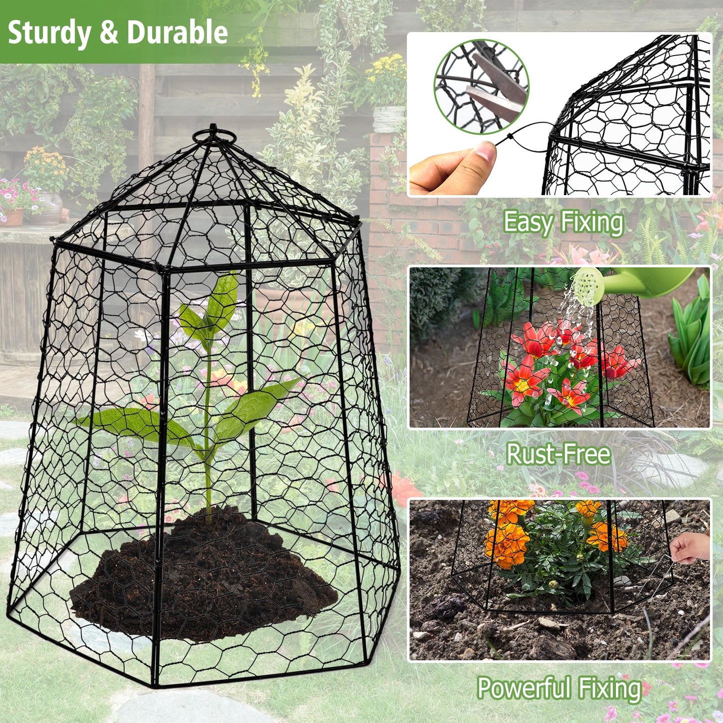 Budiwati 18.5" x 13" Large Plant Protection Cage, 5 Pcs Chicken Wire Cloche, Metal Protectors for Garden Plants, Protecting Fruits and Seedlings from Rabbits, Squirrels and Other Animals