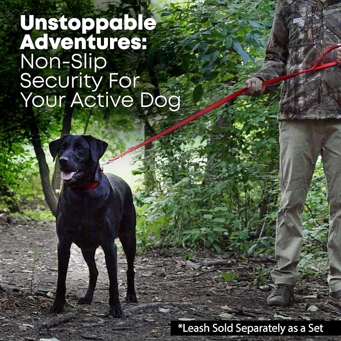 Regal Dog Products Small Red Waterproof Dog Collar and Leash Set | Heavy Duty Double Buckle & D Ring - 5'ft Leash | Adjustable Biothane Dog Collar | Chew Resistant Waterproof Collar for Dogs