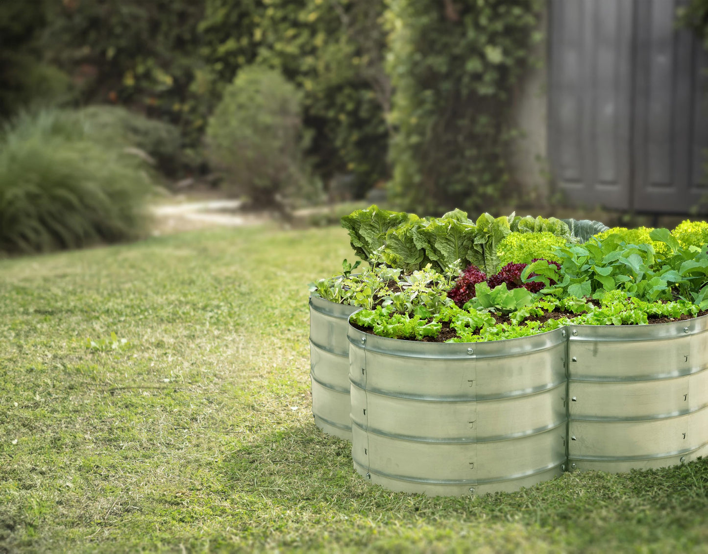 Plant & Plot Galvanized Raised Garden Beds Outdoor // 3×3×1 ft Planter Raised Beds for Gardening, Vegetables, Flowers // Large Metal Garden Box (Silver) // Patented Tool-Free Design