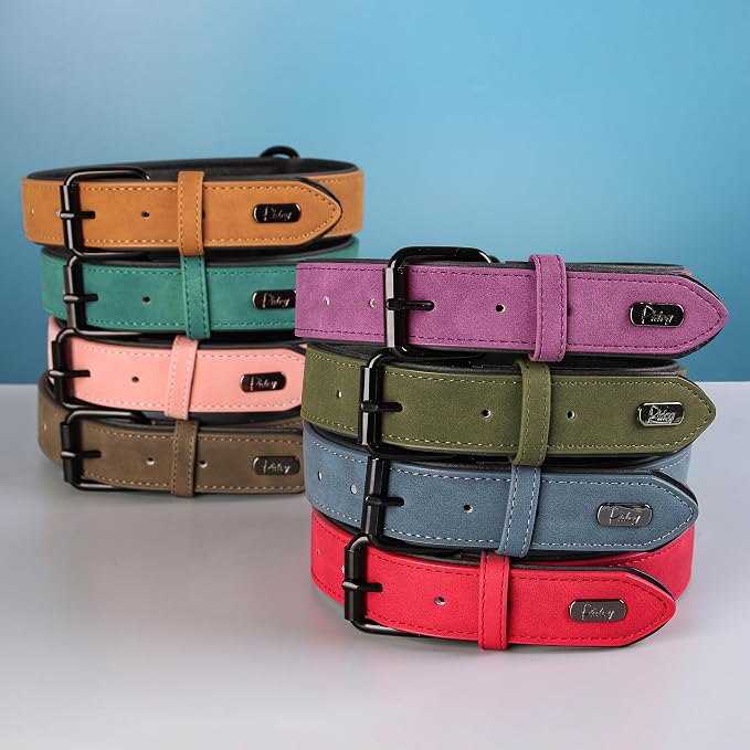 Didog Soft Padded PU Leather Dog Collar, Breathable and Adjustable Dog Collars for Small Dogs, Comfortable for Daily Walk, Purple, M Fit Neck 11-14"(10-20 lbs)