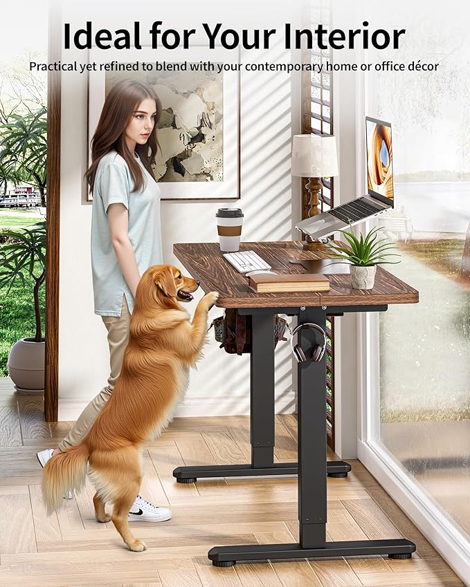 BIZUM Standing Desk Electric Adjustable Computer Desk-Stand up Desk Office