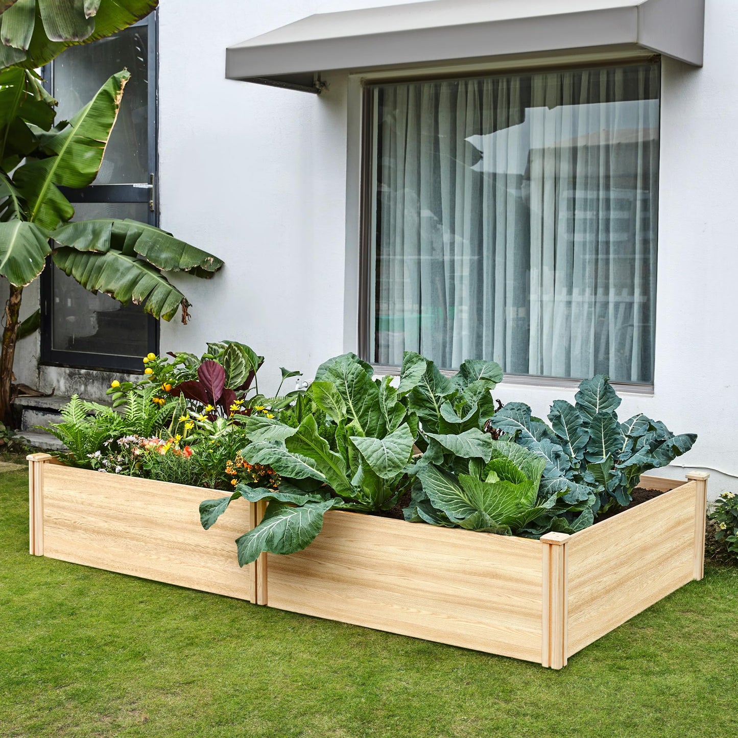 SPECRAFT 15 Inch Depth 8x4 FT Deep Wooden Raised Garden with Open Base, Extra Large Planter Box for Deep-Rooted Plants, Ideal for Outdoors, Patio, Backyard