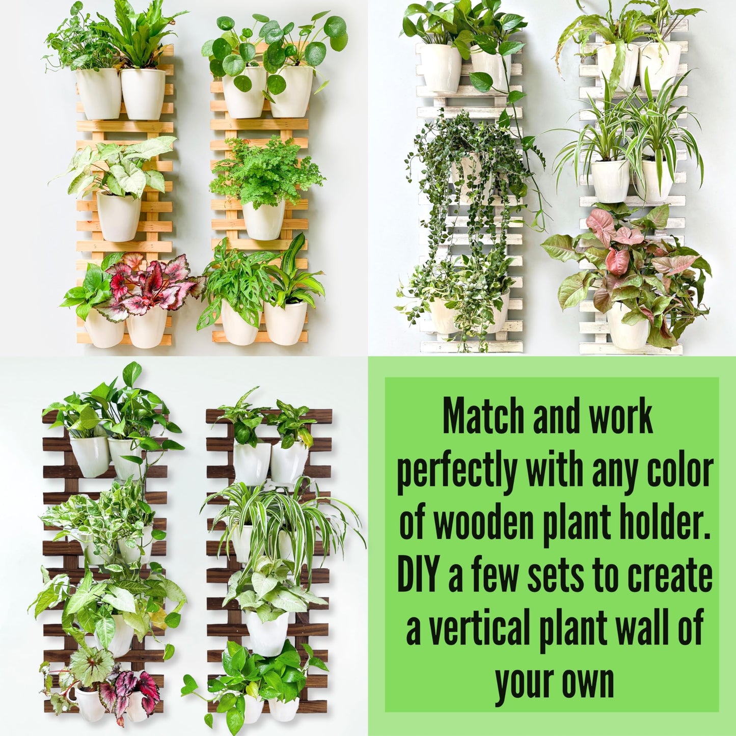 LaLaGreen Bundle- 10 Pack, 5 Inch Self Watering Plastic Pot + 2 Pack, 15.7 Inch Rustic Wooden Plant Holder Wall Mount Vertical Live Eco Garden System Trendy Herb Orchid Airplant Hanging Frame Display