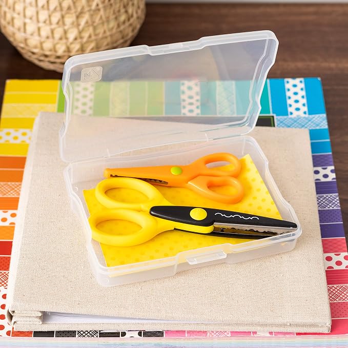 IRIS USA 4" x 6" |Made in USA| Photo Organizers and Picture Storage Box with Handle, 16 Inner Cases/Containers for Tasks, Stickers, Ephemera, & Flashcards - Clear