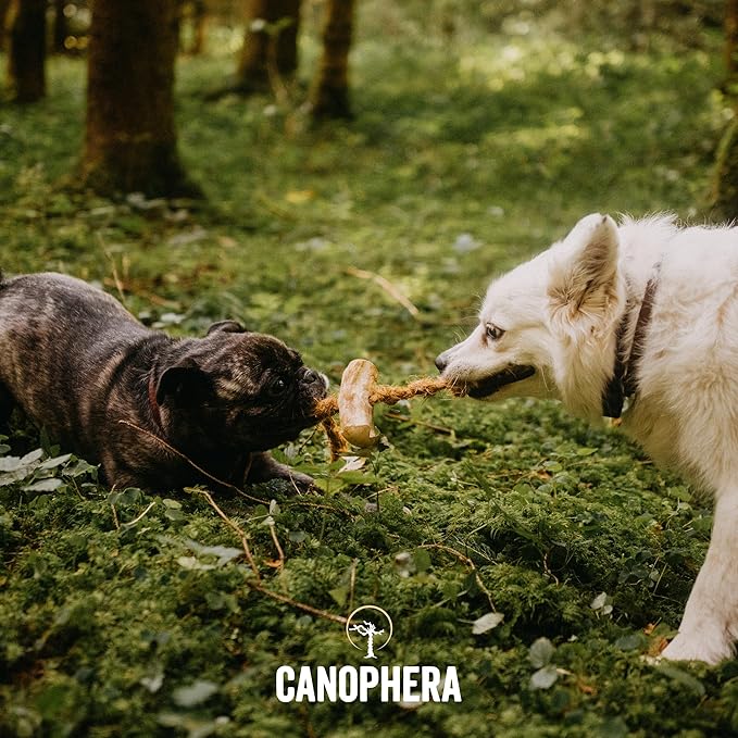 Canophera Dog Chew Coffee Wood and Coconut Rope Toy for Healthy Teeth and Gums Size Small - All Dog Breeds