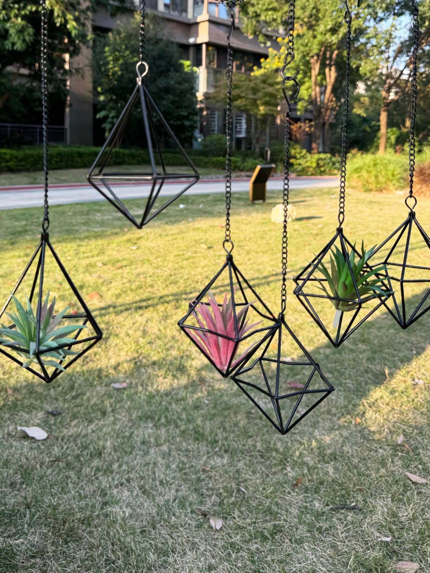 PUDAPU 6 Pack Gold Diamond Hanging Air Plant Holders with Chains, Small Unique Metal Air Plants Live Holders for Tillandsia and Air Ferns, Indoor Hanging Planter Decor