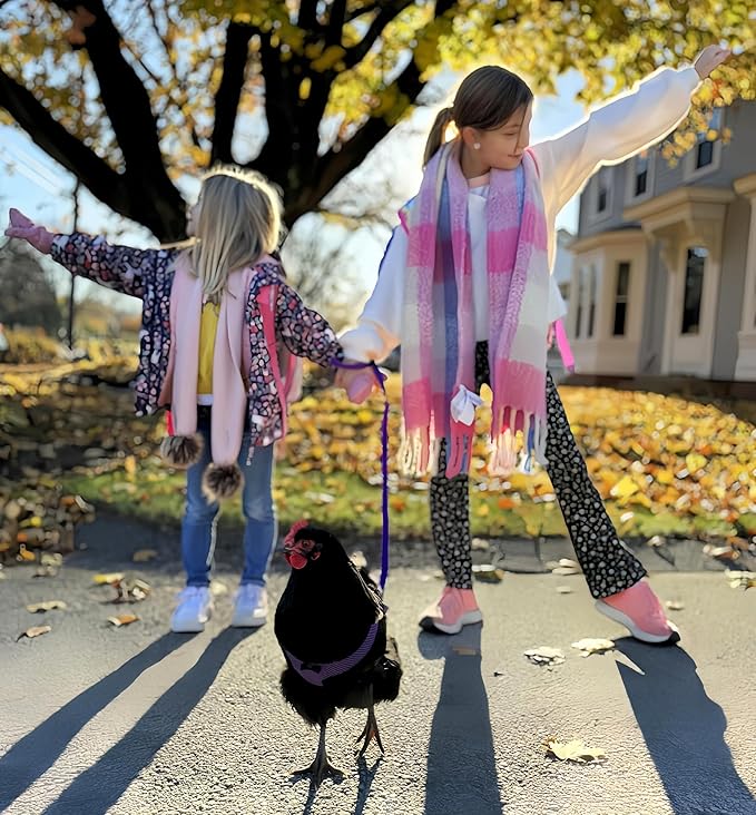 3 Pack Chicken Harness and Leash Set Adjustable Hen Vest with Matching Belt Breathable Mesh Training Harness Pets Leash for Hens Duck Goose Small Pet-Green&Purple&Blue,M