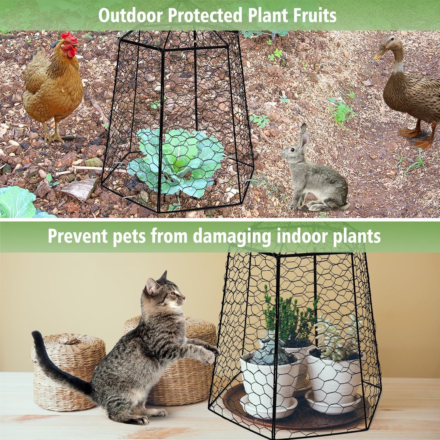 Budiwati 18.5" x 13" Large Plant Protection Cage, 5 Pcs Chicken Wire Cloche, Metal Protectors for Garden Plants, Protecting Fruits and Seedlings from Rabbits, Squirrels and Other Animals