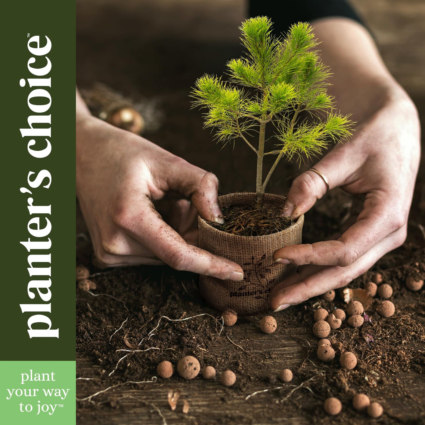 Planter's Choice Bonsai Tree Starter Kit - Birthday Gifts for Women, Men, Adults - Indoor Live House Plants - DIY Adults Craft Kits - Unique Hobby Gift Gardening Lovers - Gift Ideas Mom, Her, Friend