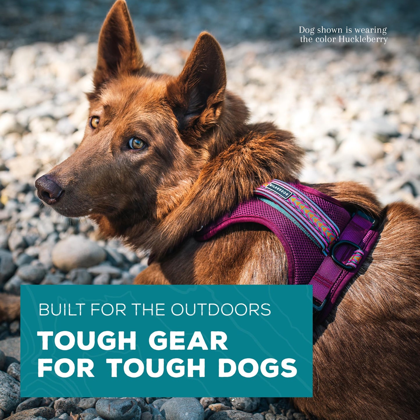 Wilderdog Lightweight Dog Harness with Reflective Straps - Medium - Huckleberry