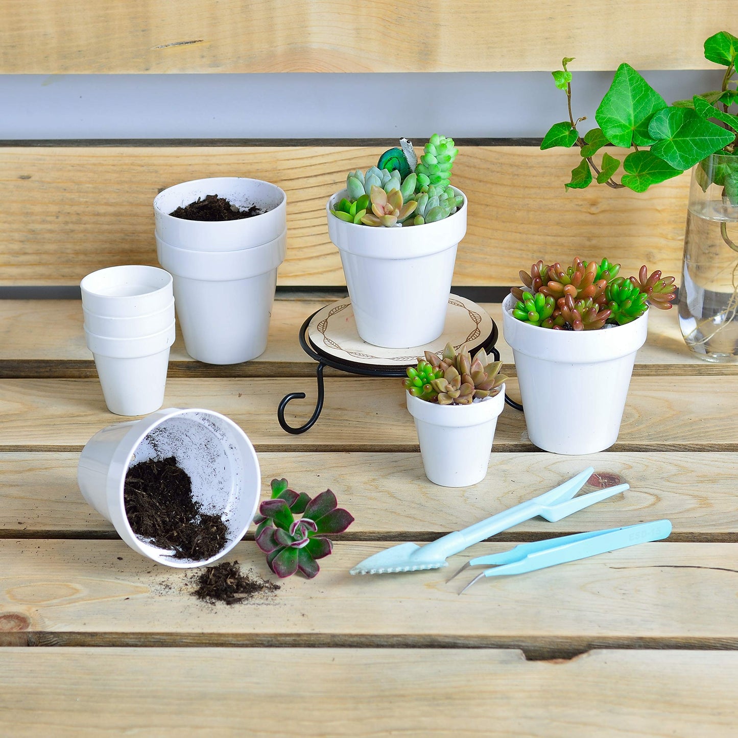 Youngever 24 Pack 2 Inch Mini Plastic Planters, Indoor Flower Plant Pots, White Gardening Pot with Drainage - NO Plant Included (Classic)