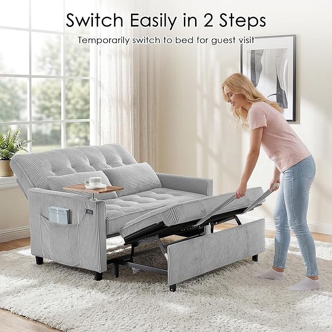 Sleeper Sofa Bed, Guest Room