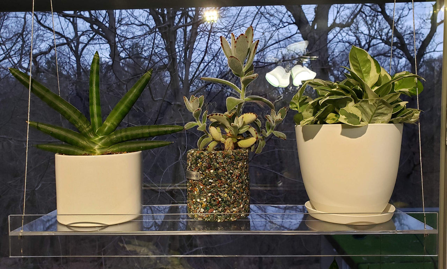 SUPREMETECH Hanging Acrylic Shelves for Windows (28" Wide, 3 Shelves - 46" Tall)
