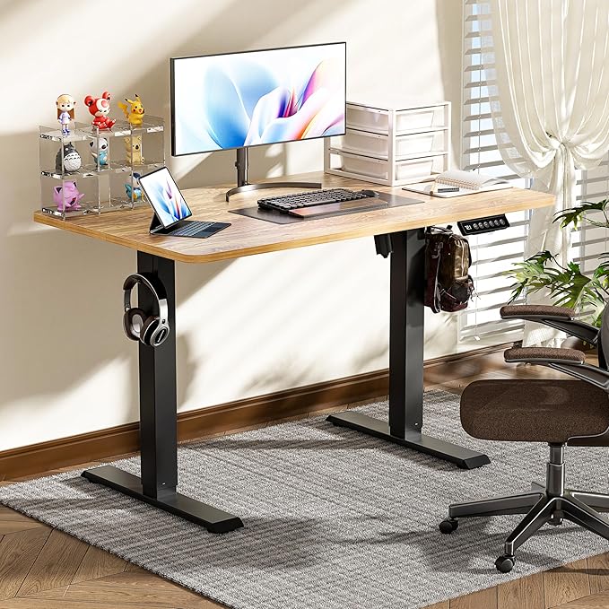 BIZUM 40x24 Inch Electric Standing Desk