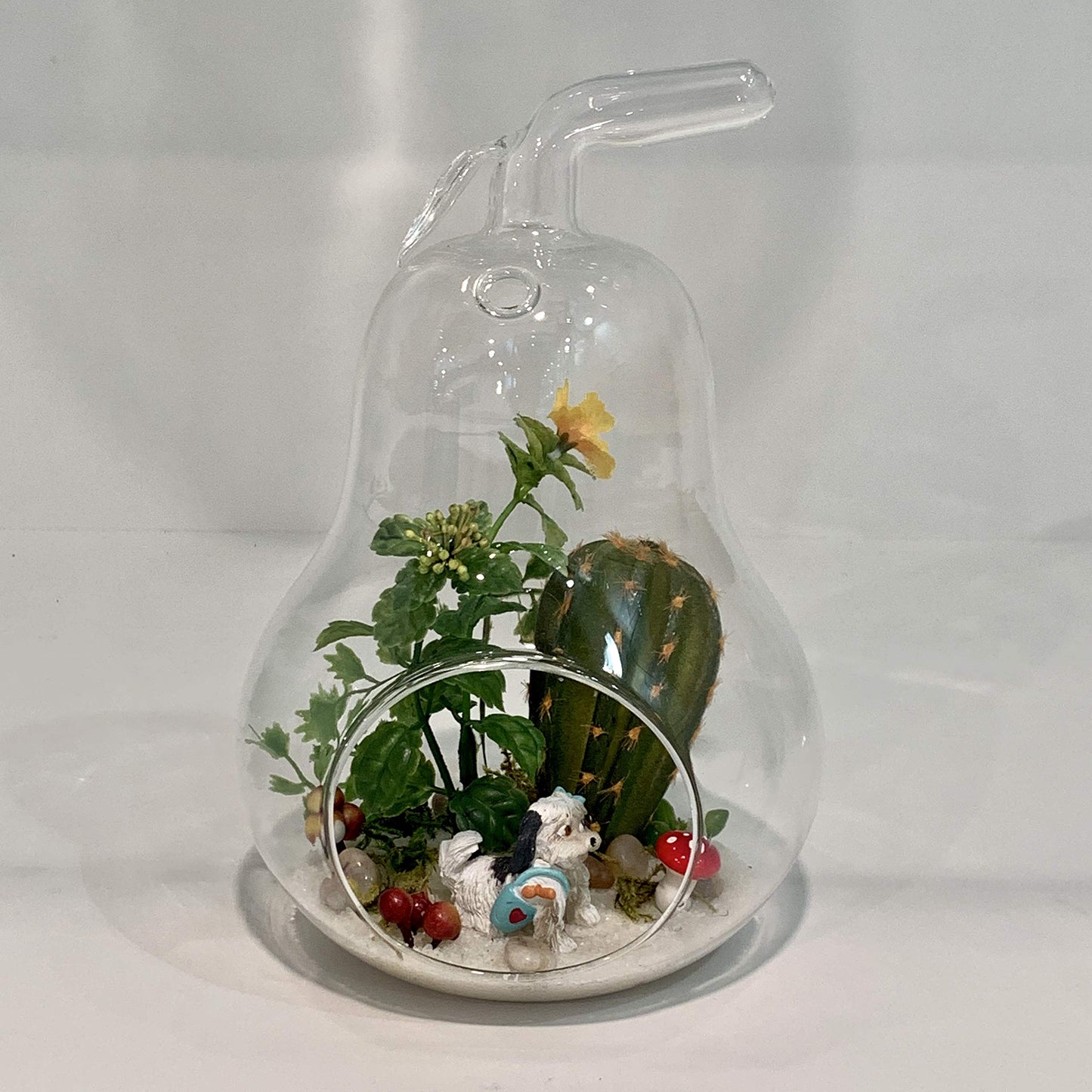 WGV Planter Terrarium Bulk, Width 5.5", Height 8", Clear Unique Pear Glass Vase Conatiner, DIY Planter Votive Candle Holder for Home Office Garden Decor, 6 Pieces