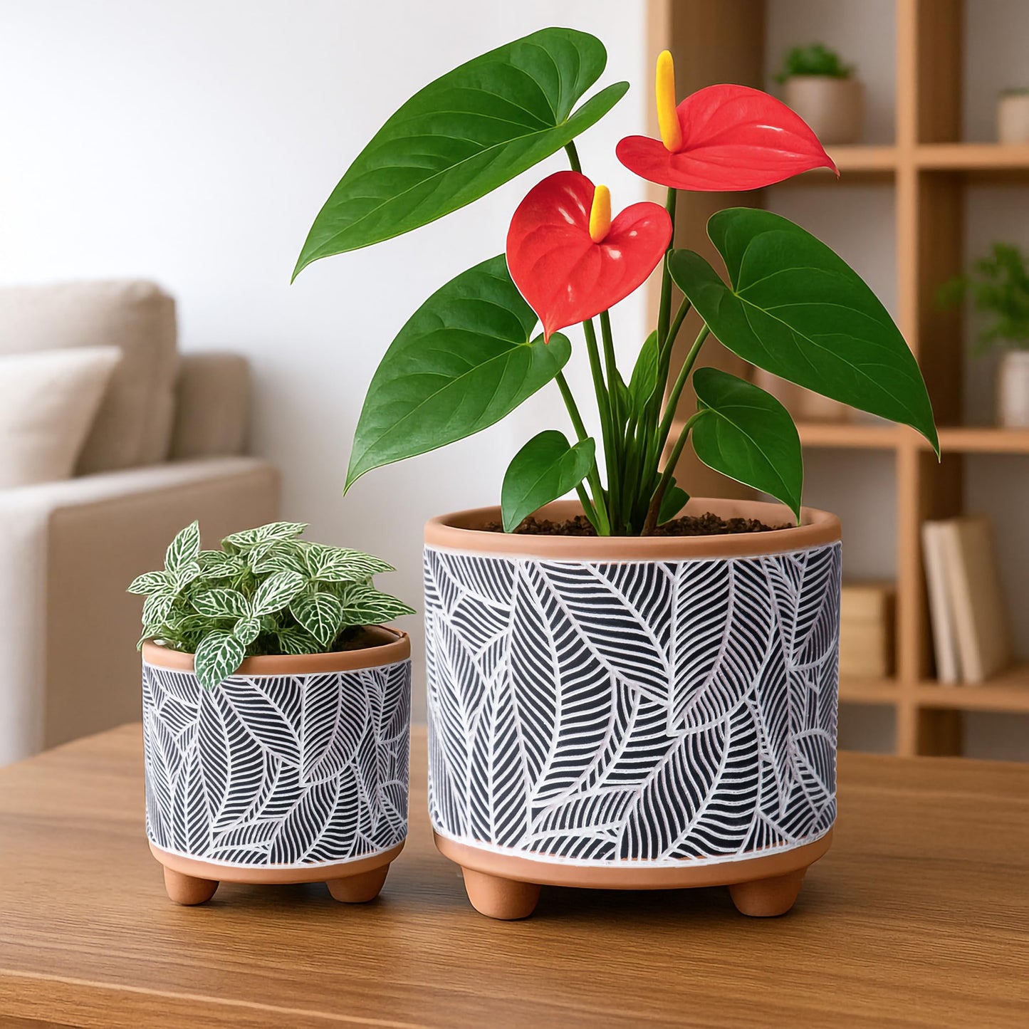 D'vine Dev Set of 2 Terracotta Planter Pots, 4 Inch & 6 Inch, Design Plants Pot with Drainage Hole, Monsoon Jungle, Terracotta/Black, 31-953-H-2