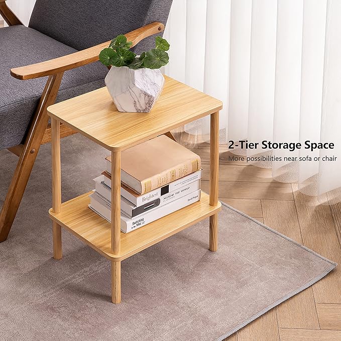 Apicizon 2 Tier End Table Set of 2, Small Side Table