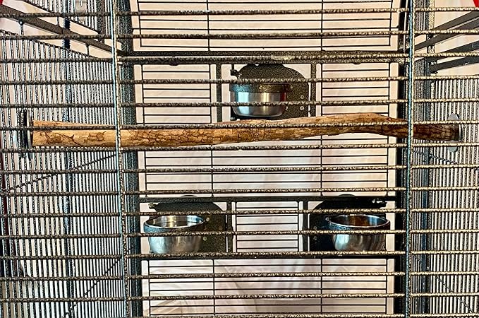 Polly's Full Length Hardwood Bird Perch, 18-Inch