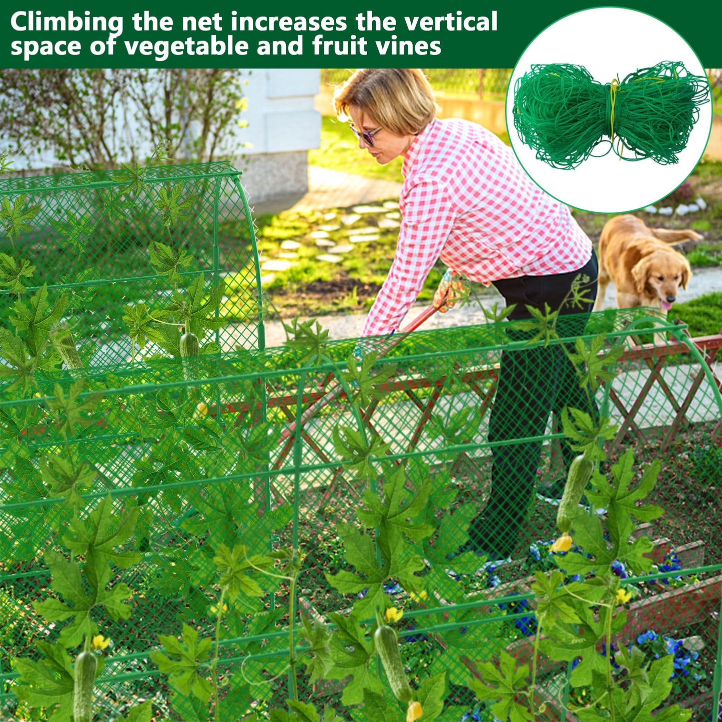 codree Cucumber Trellis for Raised Bed, 63 x 63 Inch U-Shape Garden Trellis for Climbing Plants Outdoor, Metal Arch Trellis with Climbing Net Clips for Growing Vine Vegetable, Tomato, Bean, Zucchini