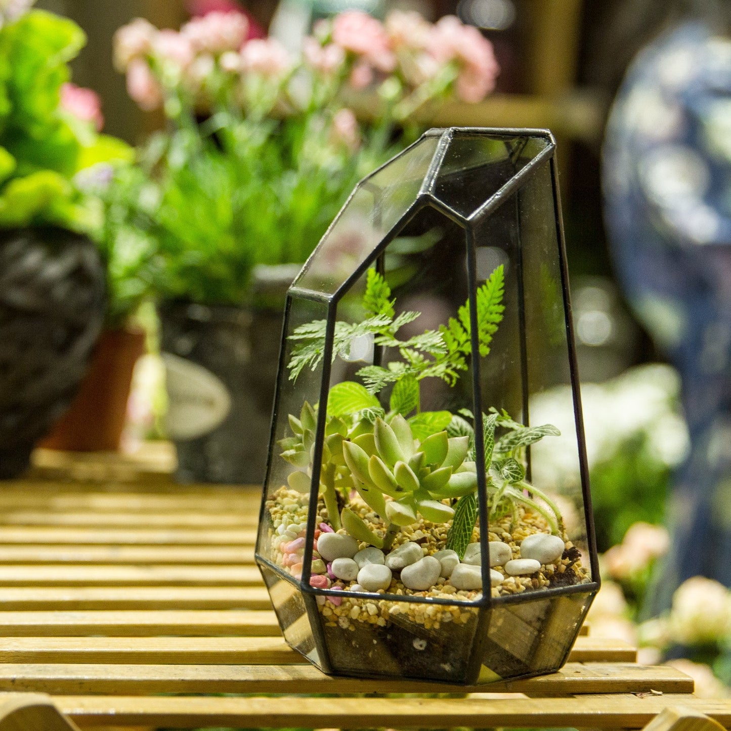 NCYP Small No Door Glass Geometric Terrarium - 4.9 x 3.9 x 7.4 Inches Irregular Clear Terrarium Pot for Mini Succulents, Small Cactus, Indoor Garden Tabletop Decoration (No Plants)