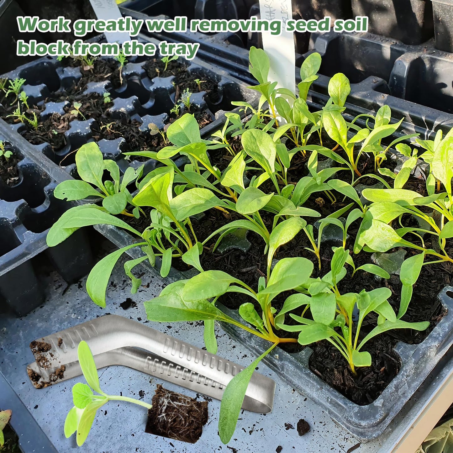 2PCS Seedling Transplant Tongs Stainless Steel Seedling Starters Remove Tongs Seedling Transplanting Tool Seedling Easy Transplanter with Anti-Slip Grasp Tips to Reduce Damage to Roots