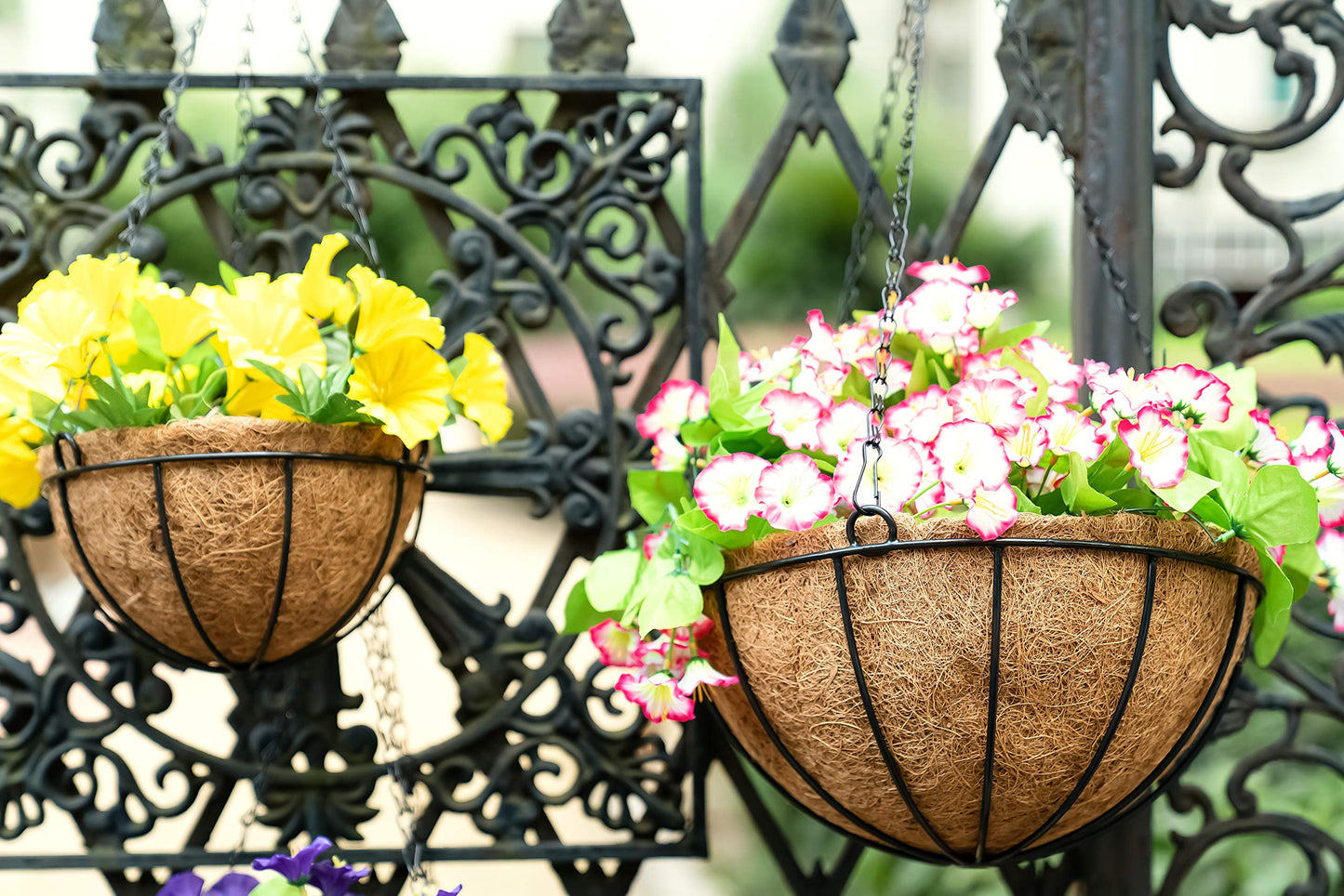 Kingbuy 8" Metal Hanging Plant Baskets with Coconut Liner (2 Pack) - Farmhouse Wire Planters Flower Pots for Plants Ferns Indoor Outdoor Balcony Patio Garden Decoration