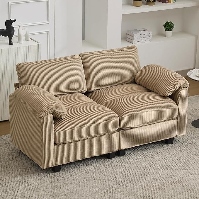 61'' Modular Loveseat Sofa, Extra Deep Seat Cloud Couch