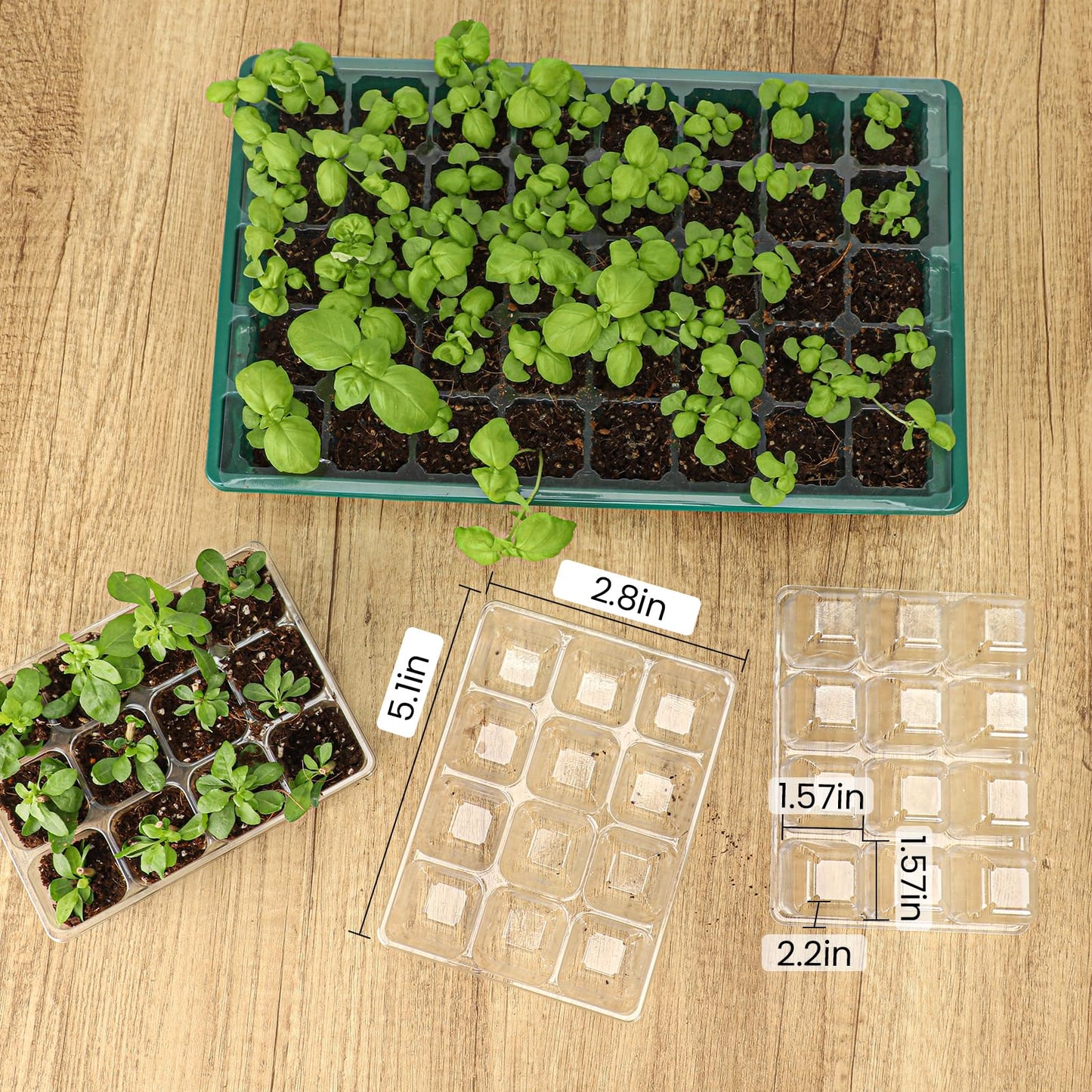 MIXC 10 Packs Seed Starter Tray with Humidity Dome +30 Pack Transparent Seed Tray