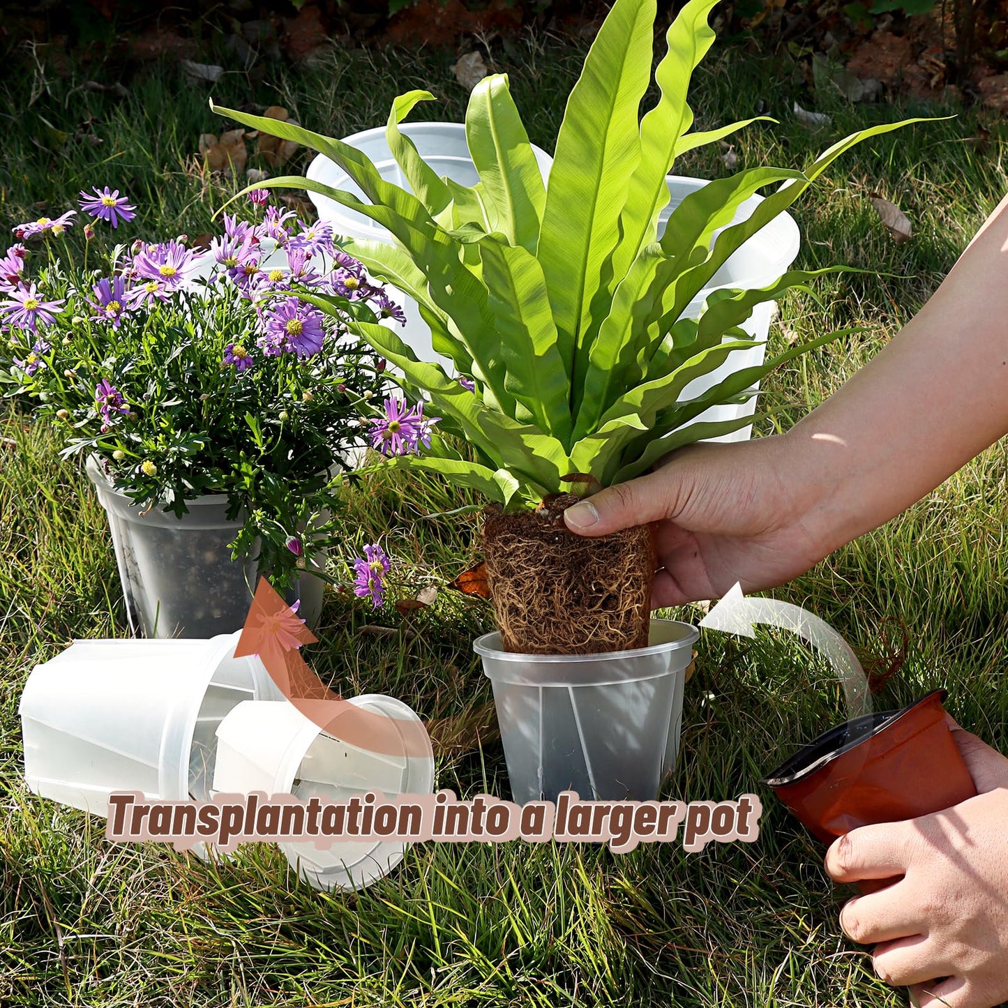 VIOBEPASS 10.6 Inch Large Clear Nursery Pots with Drainage Holes, 2.7 Gal 10 Pack Transparent Plastic Plant Pots, Ideal for Orchids, Seedlings, Repotting & Observing Root Growth & Soil Moisture