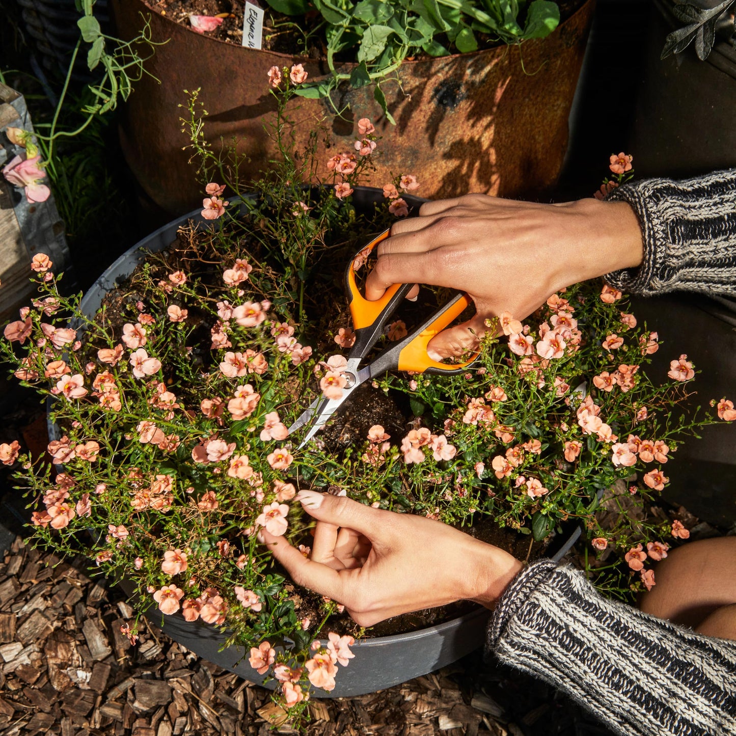Fiskars Comfort Loop Pruning Snips, Garden Gifts for Women, Extra Large SoftGrip Handle, Yard and Garden Tools 7", Orange/Black