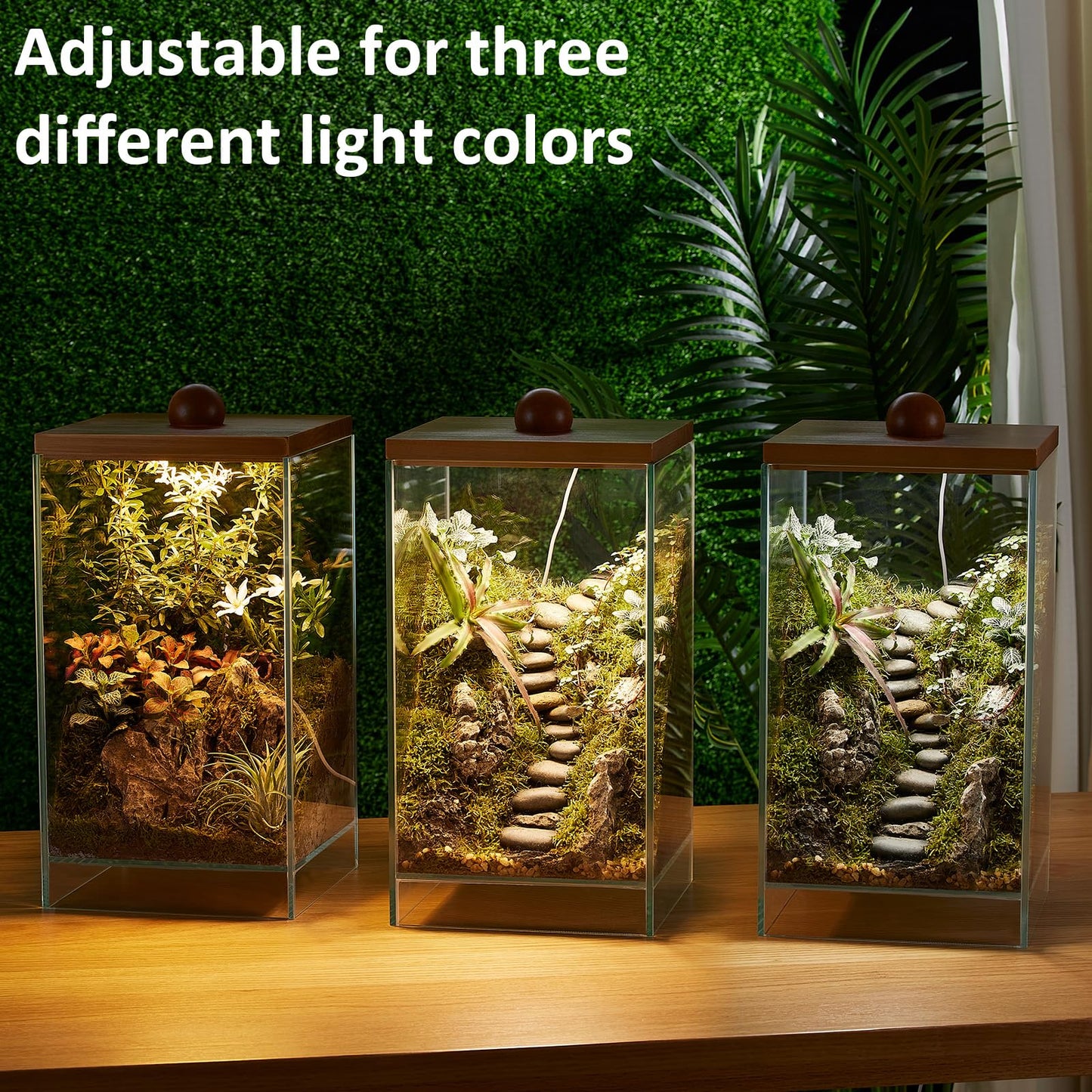 13.7H+7.8W Desktop Glass Plant Terrarium with Light, Large Propagation Station for Succulent, Moss, Miniature Gardening Landscape, Betta Fish Tank