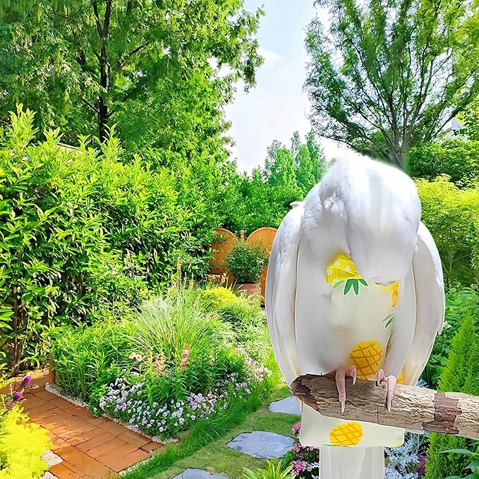2Pcs Bird Diapers Bird Harness Flight Suits Diapers with 80 Inch Flying Leash Parrot Nappy Washable Cute Urine Wet Suit for Cockatiel Conure Macaw Budgies Parakeet-Pineapple&Kitten,S