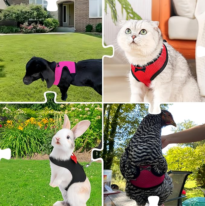 3 Pack Chicken Harness and Leash Set Adjustable Hen Vest with Matching Belt Breathable Mesh Training Harness Pets Leash for Hens Duck Goose Small Pet-Black&Red&Pink,M