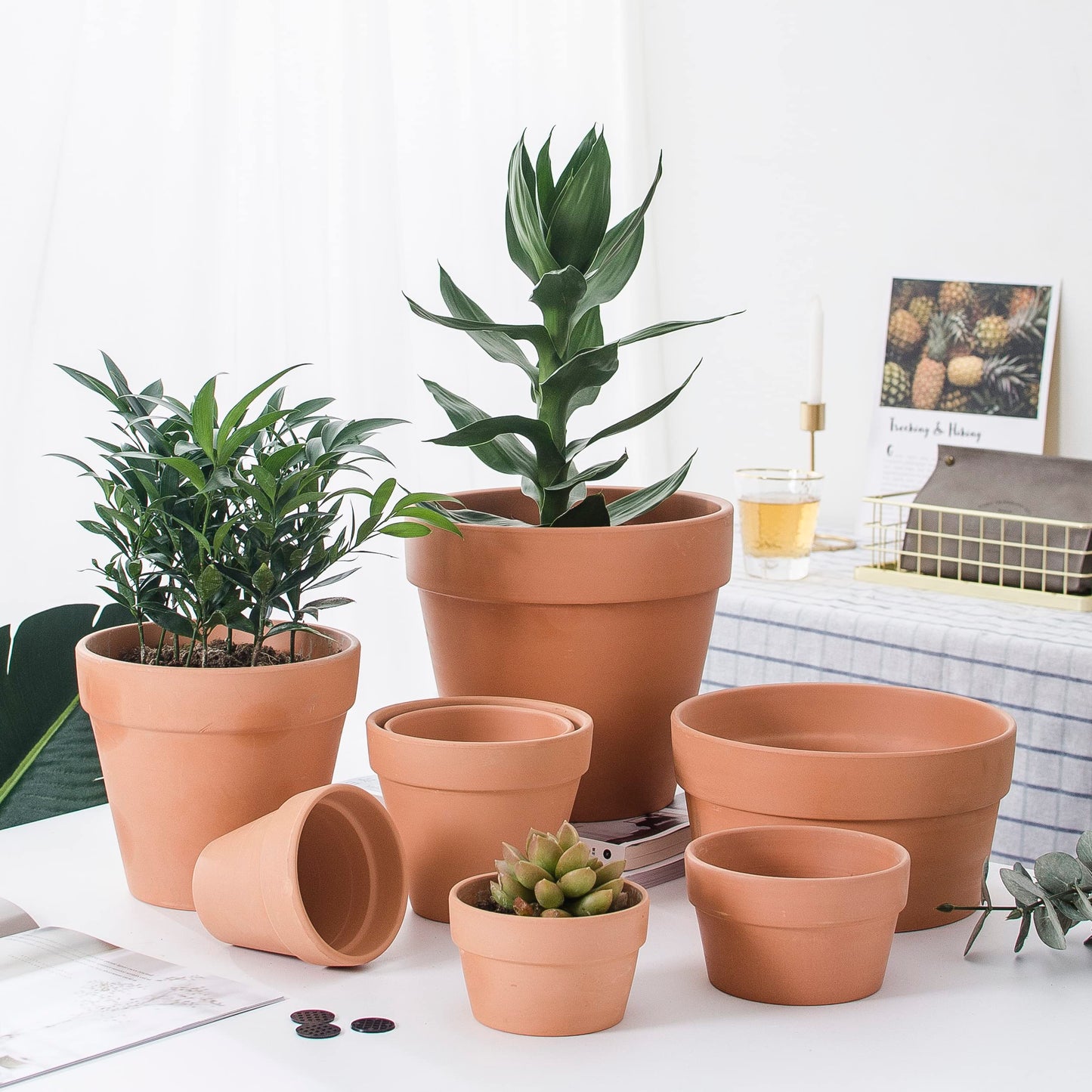 OLEEP Clay Pots - 10 Pack (5.5 inch) Large Terra Cotta Plant Pot with Drainage Hole,Garden Pots, Clay Planters Pot, Terracotta Pot for Indoor Outdoor Plant
