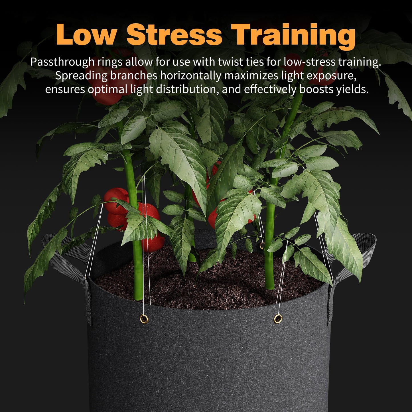 Patigrow 5-Pack 5 Gallon and 5-Pack 7 Gallon Self-Watering Grow Bags, 420G Thick Nonwoven Fabric Pots with Reinforced Handles and Multi-Purpose Rings