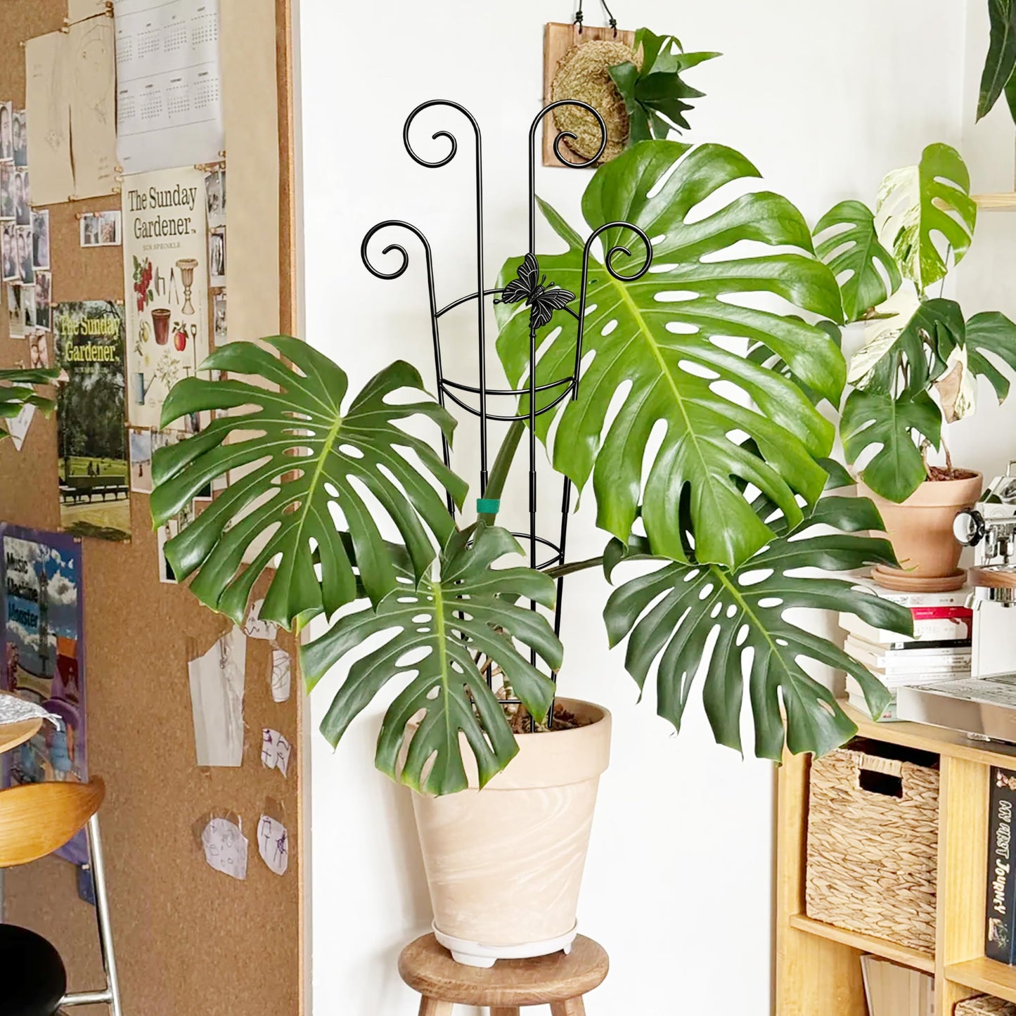 Coomin 32.6in Monstera Plant Support for Indoor Plants, 2P Trellis for Climbing Plants Indoor, Plant Climber Stakes for Potted Plants