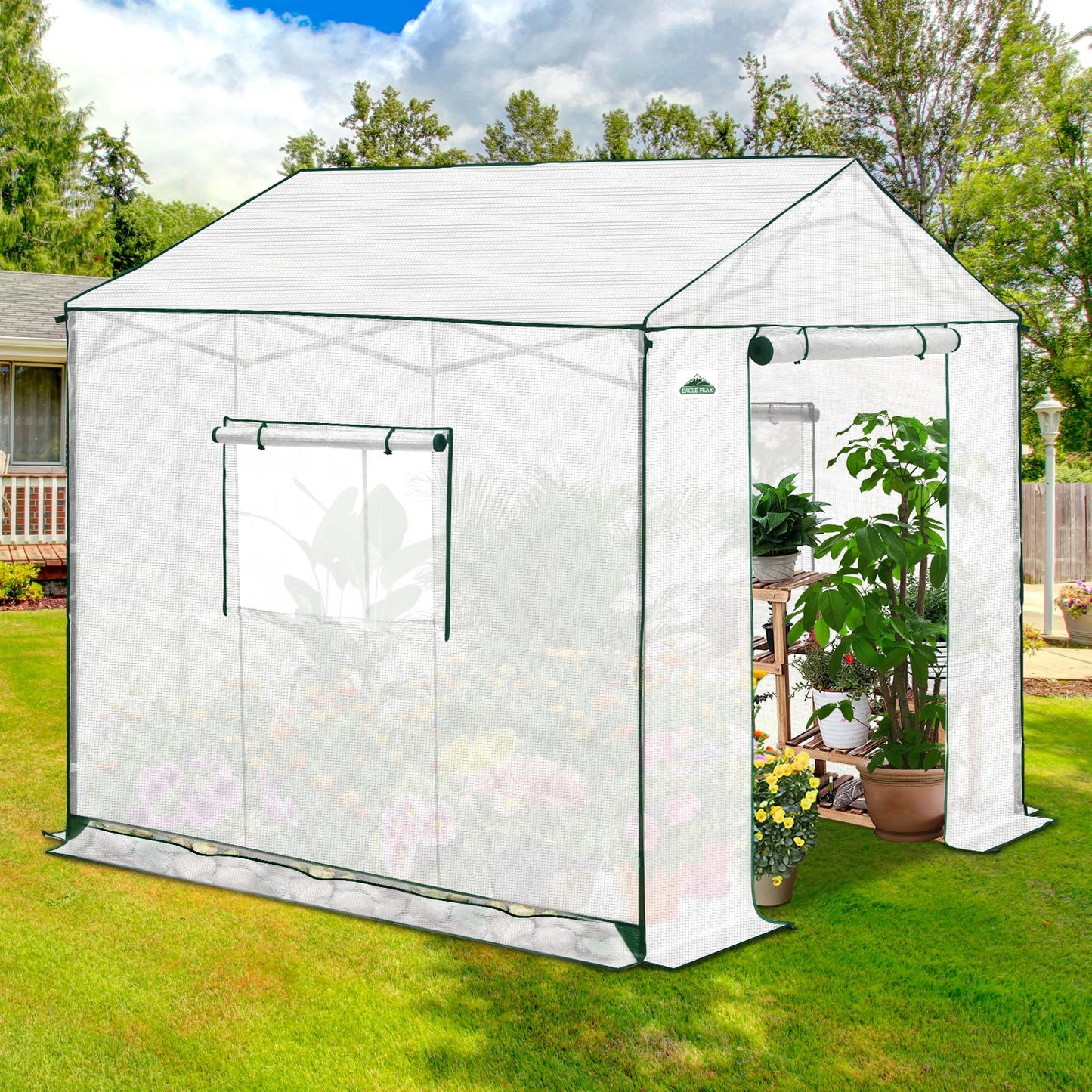 EAGLE PEAK 8x8 Portable Pop Up Greenhouse, Patented Center Lock Easy One Person Setup, Walk-in Outdoor Greenhouse with Gable Roof, Weight Bags, Zippered Doors & Windows, White