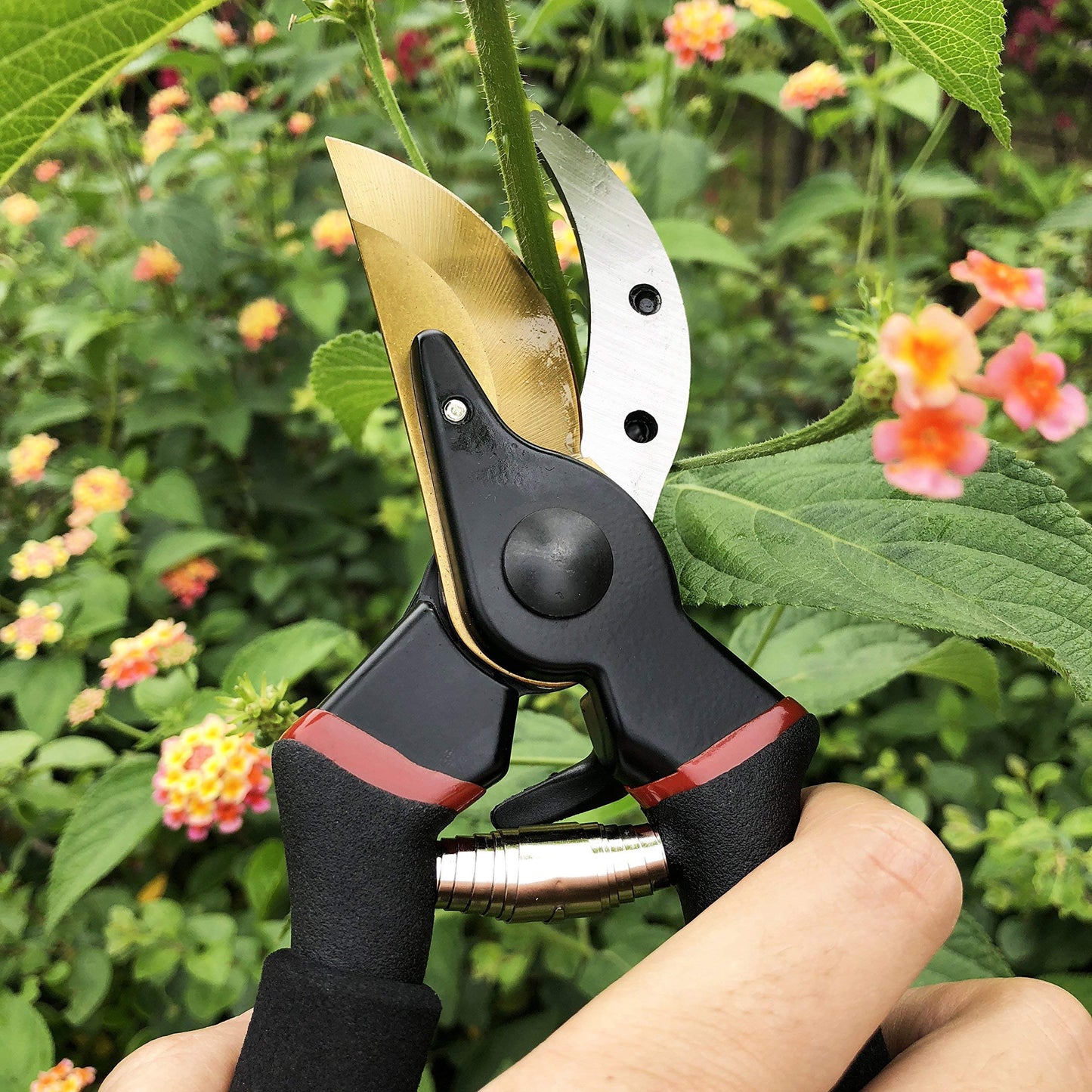 gonicc 8" Professional Premium Titanium Bypass Pruning Shears (GPPS-1003), Hand Pruners, Garden Clippers, Bonsai Cutters