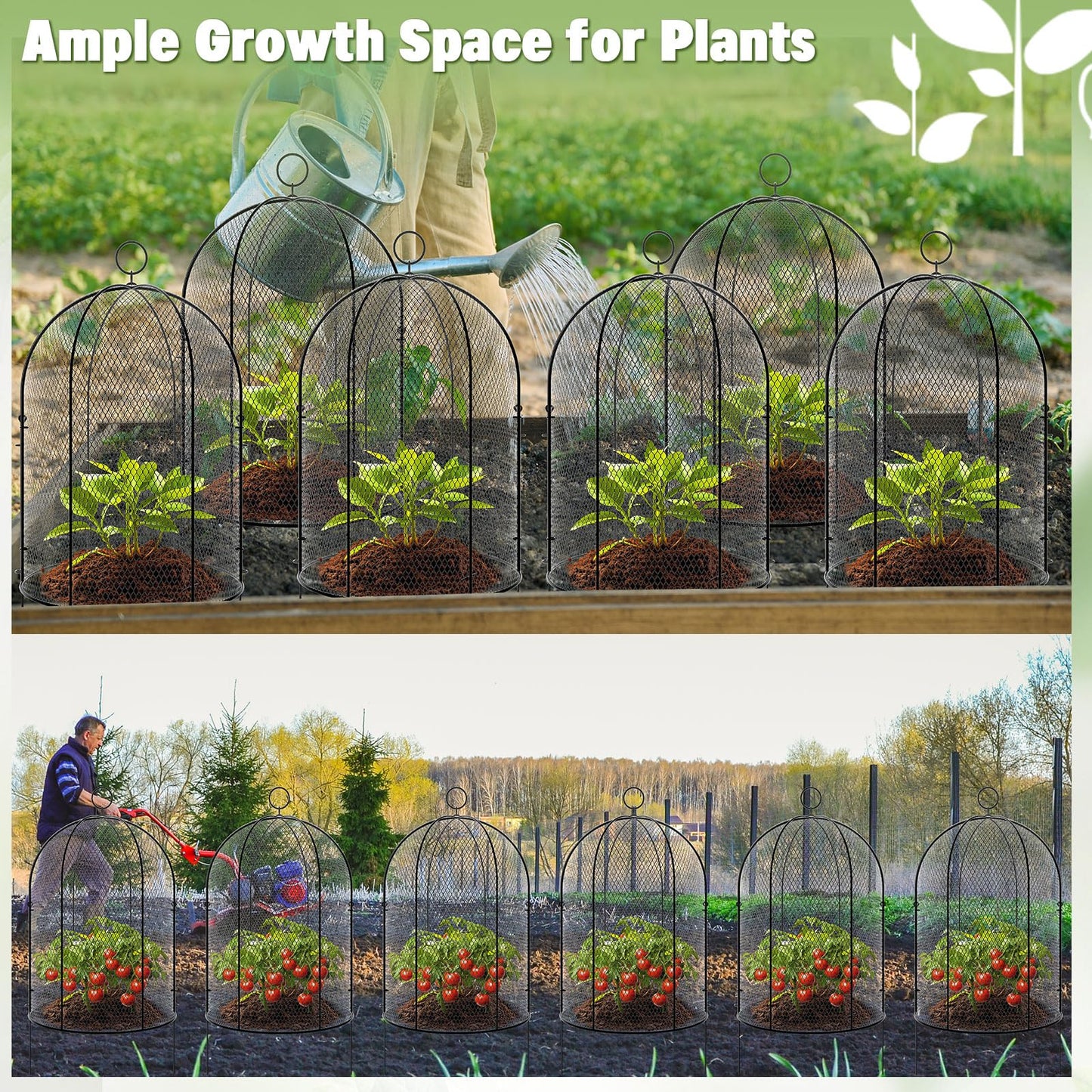 Novabright 6 Pack Garden Cloches for Plants 12" x 16" with Stakes & Zip Ties, Plant Covers from Animals Large Metal Mesh Chicken Wire Cloche Plant Protector Cage for Vegetable Garden Outdoor (Black)