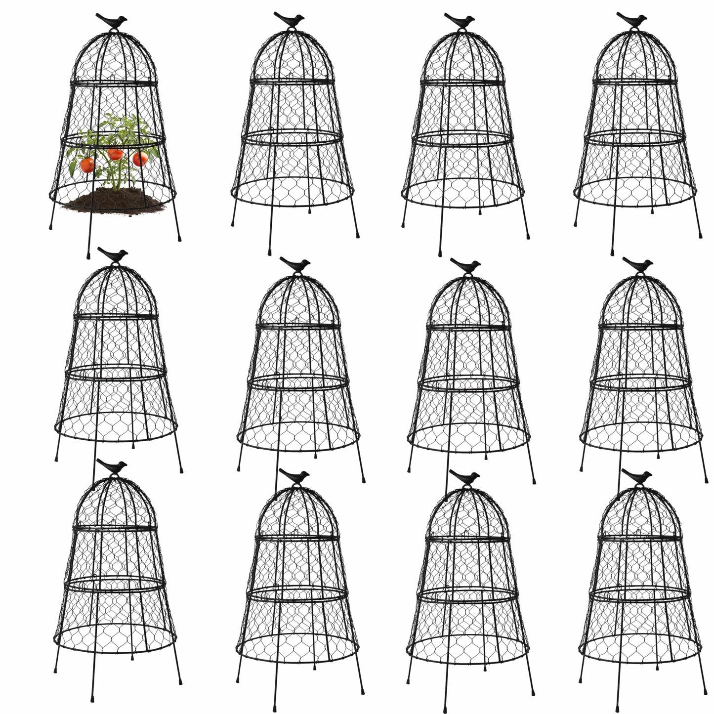 DHAMPOOH Pack of 12 Heavy-Duty Chicken Wire Plant Cloches – Rustproof Garden Protectors and Plant Cages for Vegetables and Flowers – Safeguard Plants from Deer and Critters – 20” x 12”