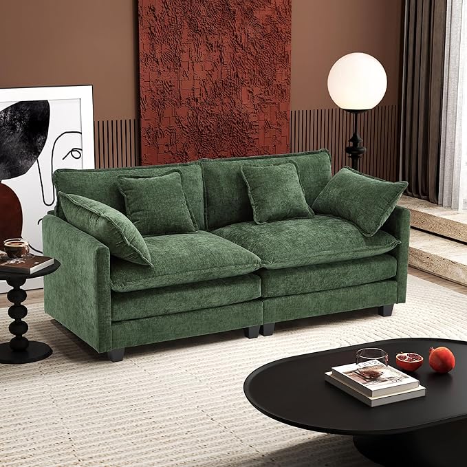 Ihanherry Cloud Sofa 77 Inch Loveseat, Modern Sectional Couch, 2-Seats Sofa