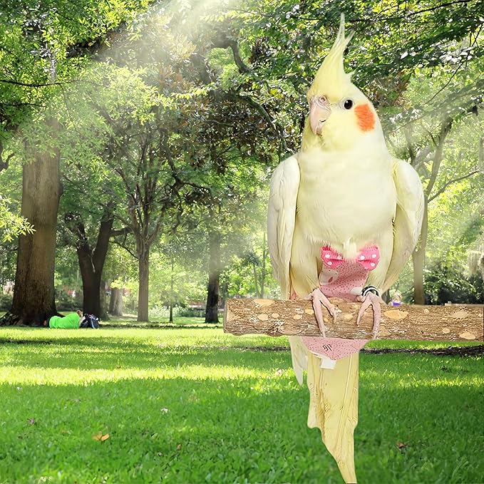 2Pcs Bird Diapers Bird Harness Flight Suits Diapers with 80 Inch Flying Leash Parrot Nappy Washable Cute Urine Wet Suit for Cockatiel Conure Macaw Budgies Parakeet-Rabbit&Watermelon,S