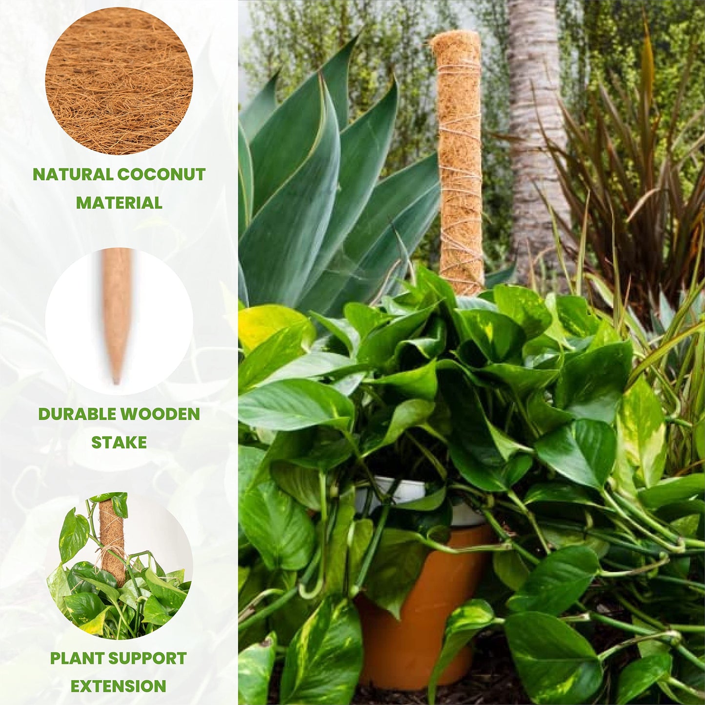 Envelor Coco Moss Poles Plant Support Stakes Coco Plant Stake Pothos Coir Totem Pole Monstera Moss Pole Climbing Plant Support Potted Plant Upward Growth Vine Stackable Coco Sticks, 36 inches, 4 Pack