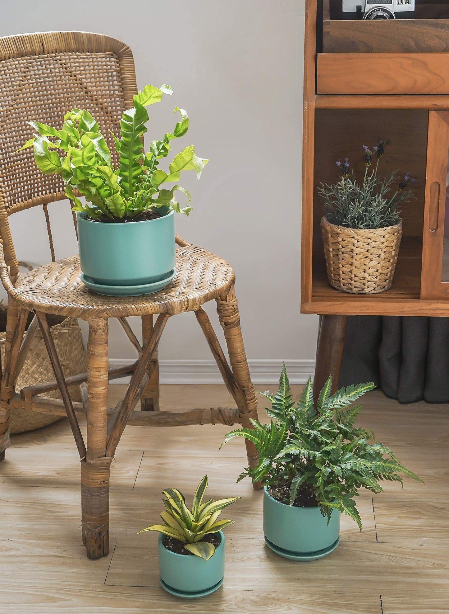 LE TAUCI Ceramic Plant Pots, 4.3+5.3+6.8 inch, Set of 3, Planters with Drainage Hole and Saucer, Indoor Flower Pot with Hole Mesh Pad, Gifts for Mom, Aqua
